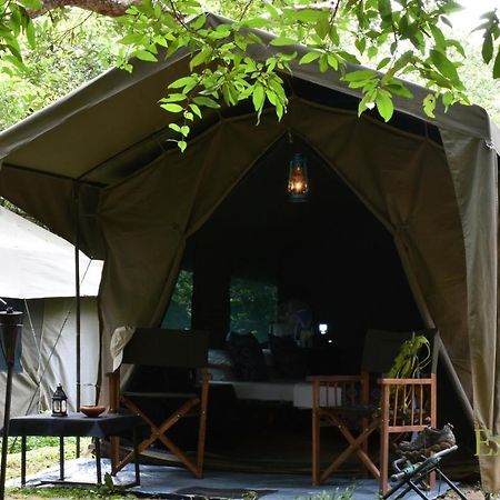 Explorer By Eco Team - Wasgamuwa National Park 外观 照片