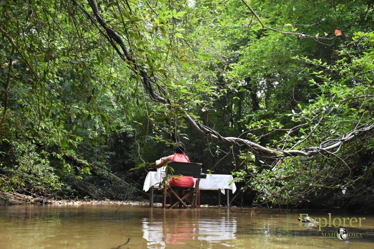 Explorer By Eco Team - Wasgamuwa National Park 外观 照片