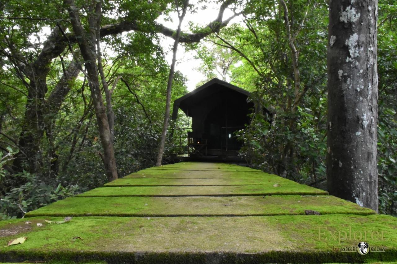 Explorer By Eco Team - Wasgamuwa National Park 外观 照片