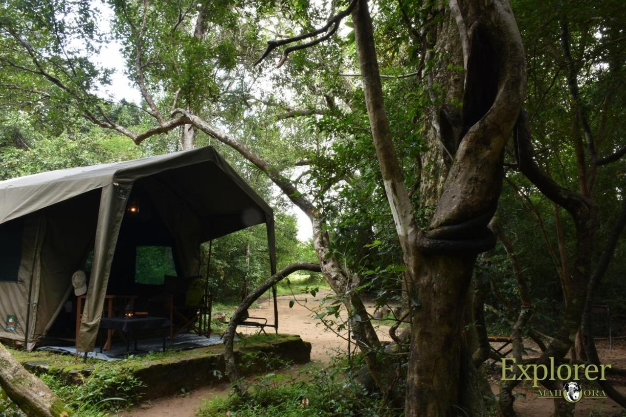 Explorer By Eco Team - Wasgamuwa National Park 外观 照片