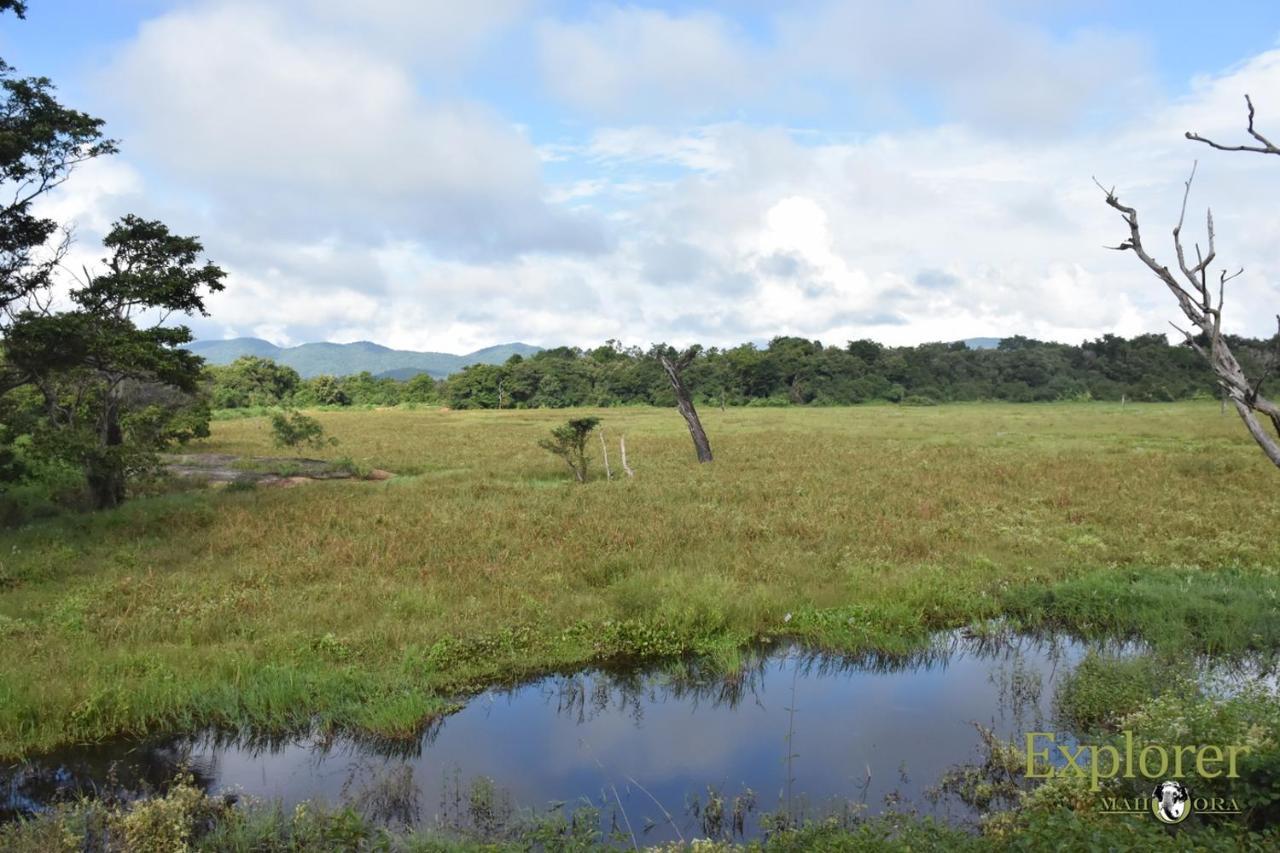 Explorer By Eco Team - Wasgamuwa National Park 外观 照片