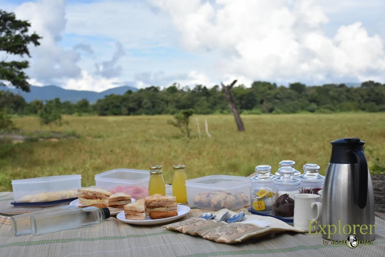 Explorer By Eco Team - Wasgamuwa National Park 外观 照片