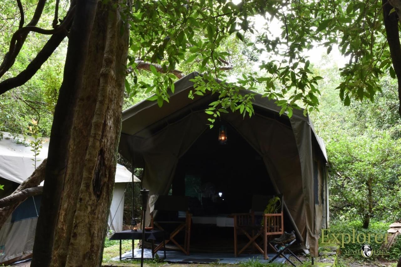 Explorer By Eco Team - Wasgamuwa National Park 外观 照片